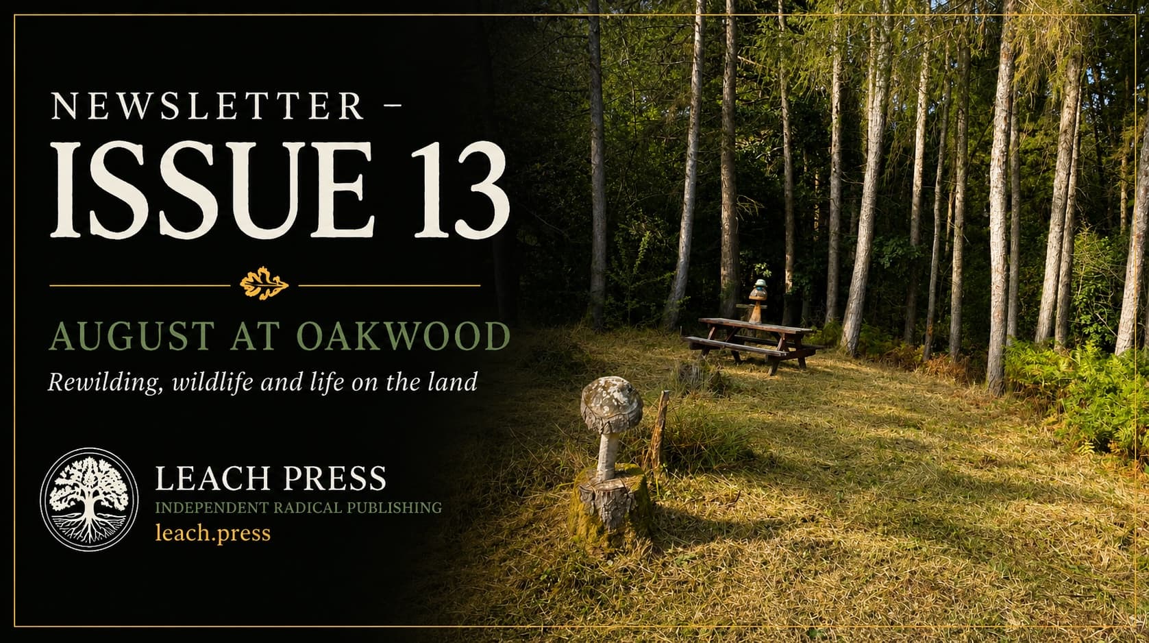 Newsletter Issue 13 – August at Oakwood
