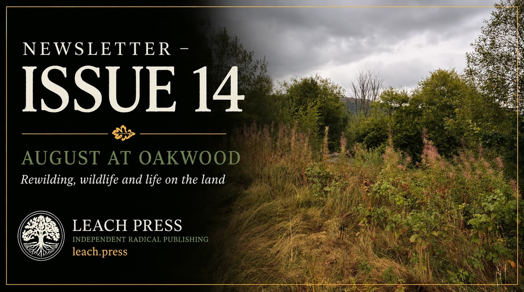 Newsletter Issue 14 – Oakwood, August 2026