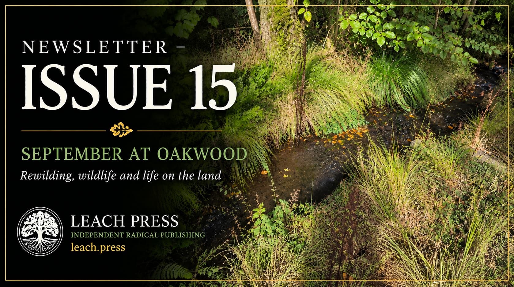Newsletter Issue 15 – Oakwood, September 2026