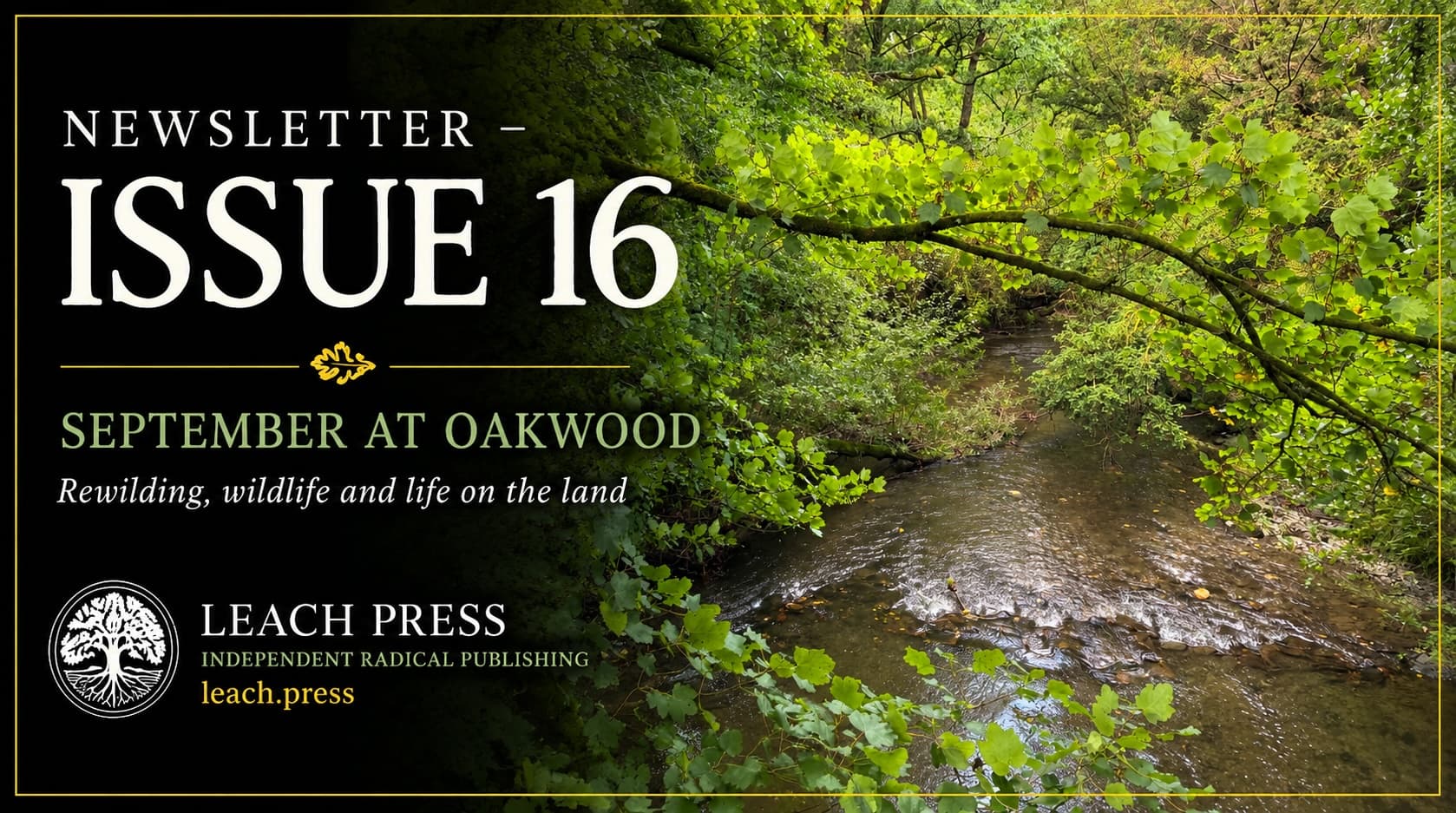 Newsletter Issue 16 – Oakwood, September 2026