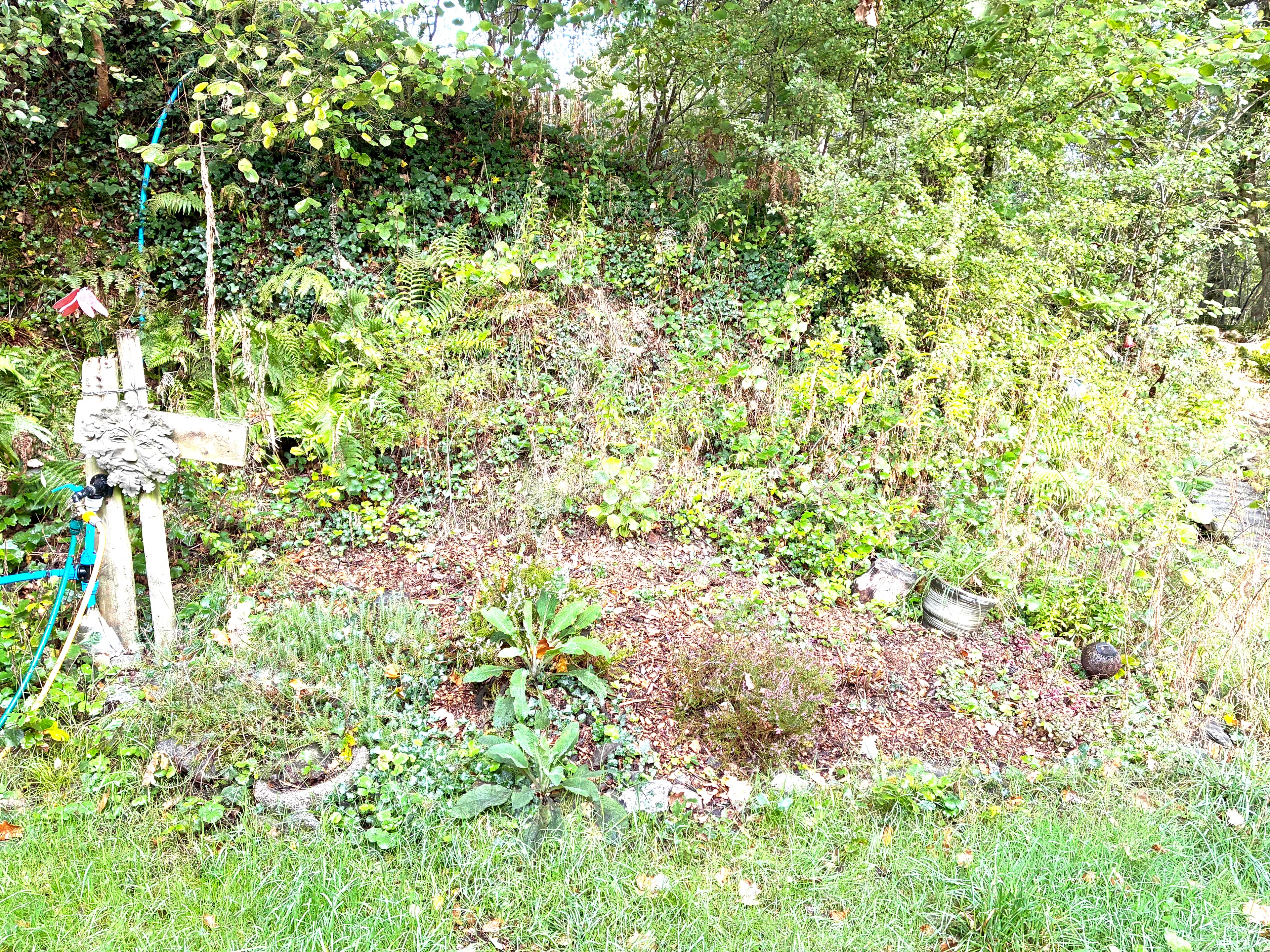Oakwood photograph 10, September 2026 appendix