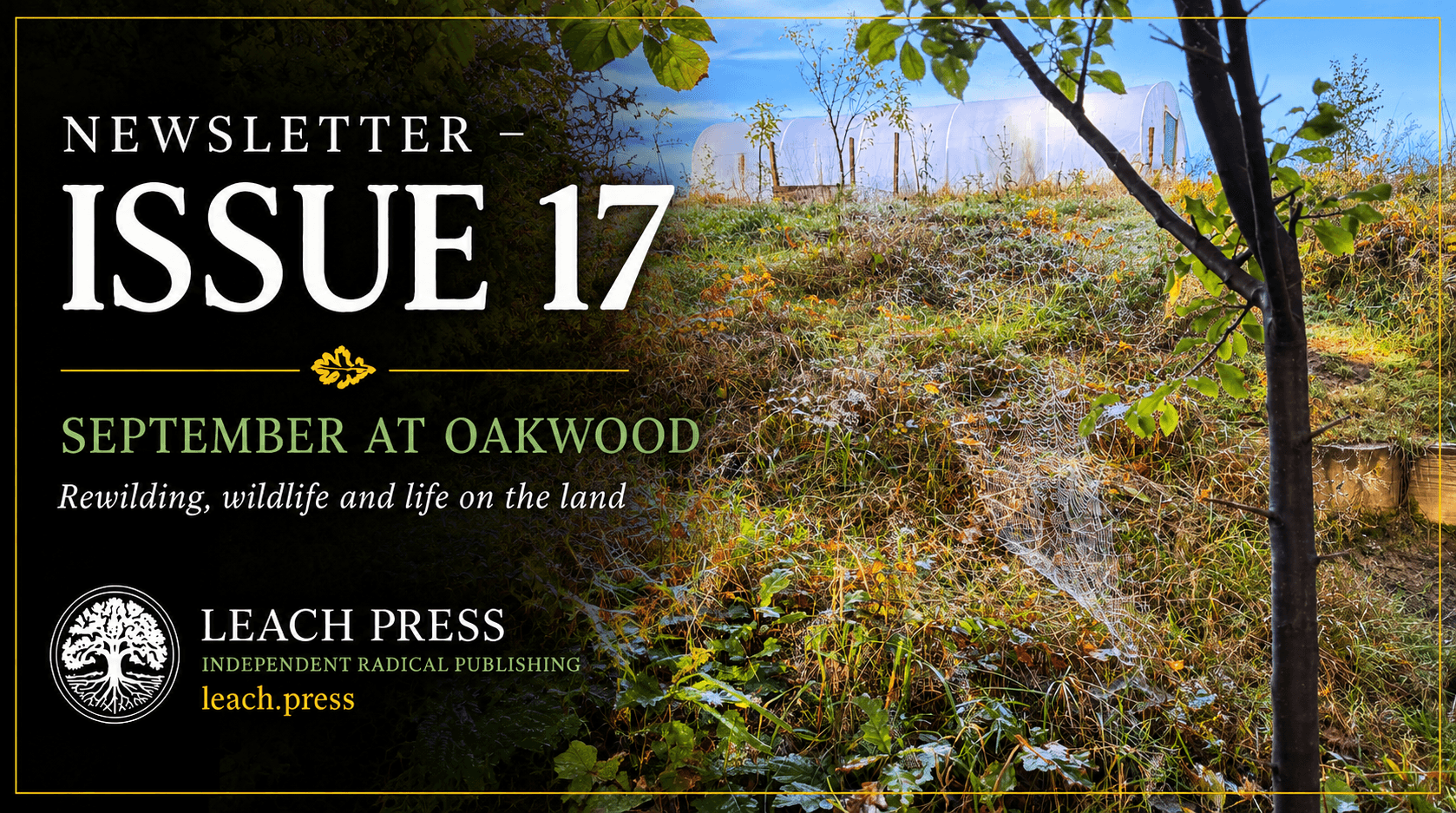Newsletter Issue 17 – Oakwood, September 2026