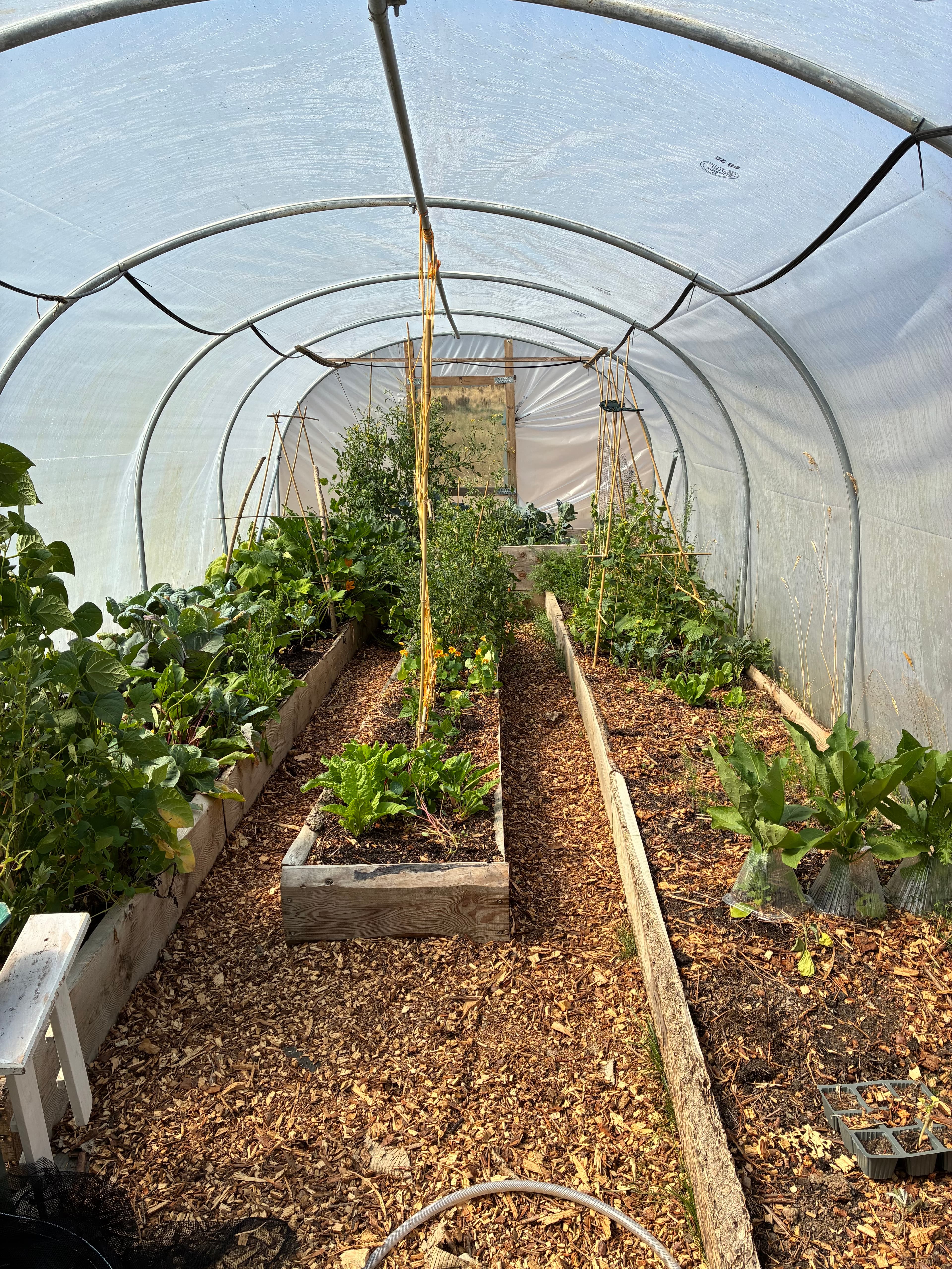 Oakwood during July 2026 – Issue 8 photograph 15