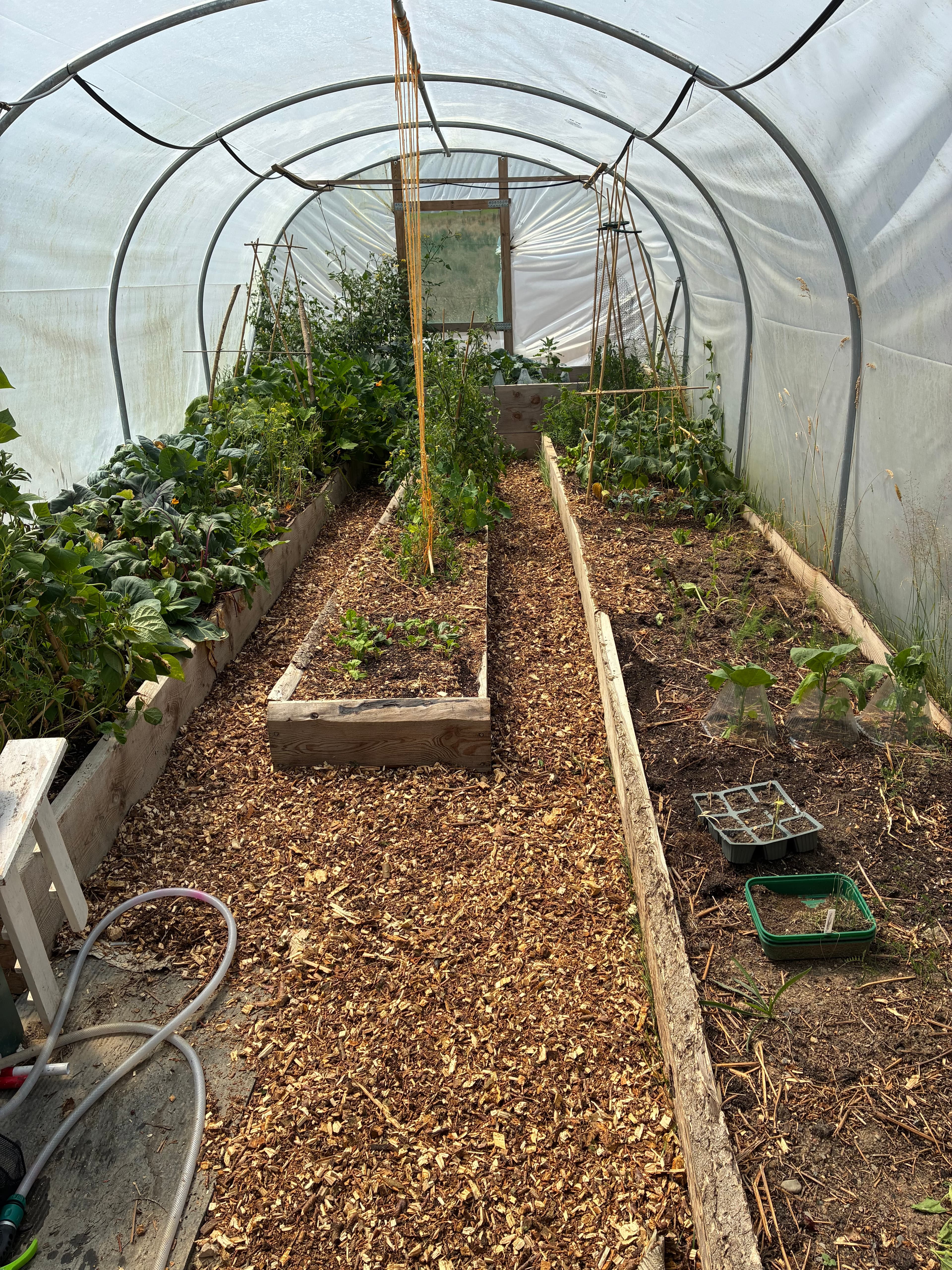 Oakwood during July 2026 – Issue 8 photograph 2