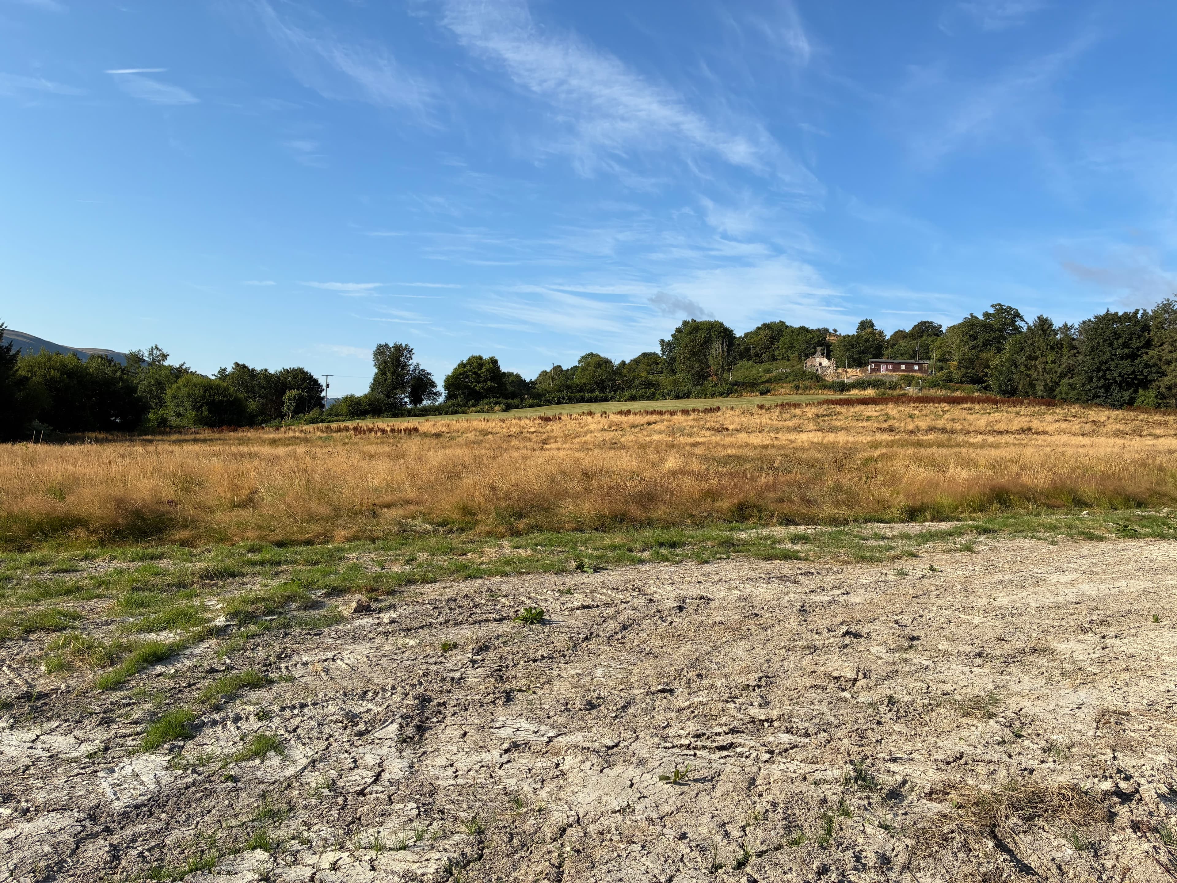 Oakwood during July 2026 – Issue 9 photograph 1