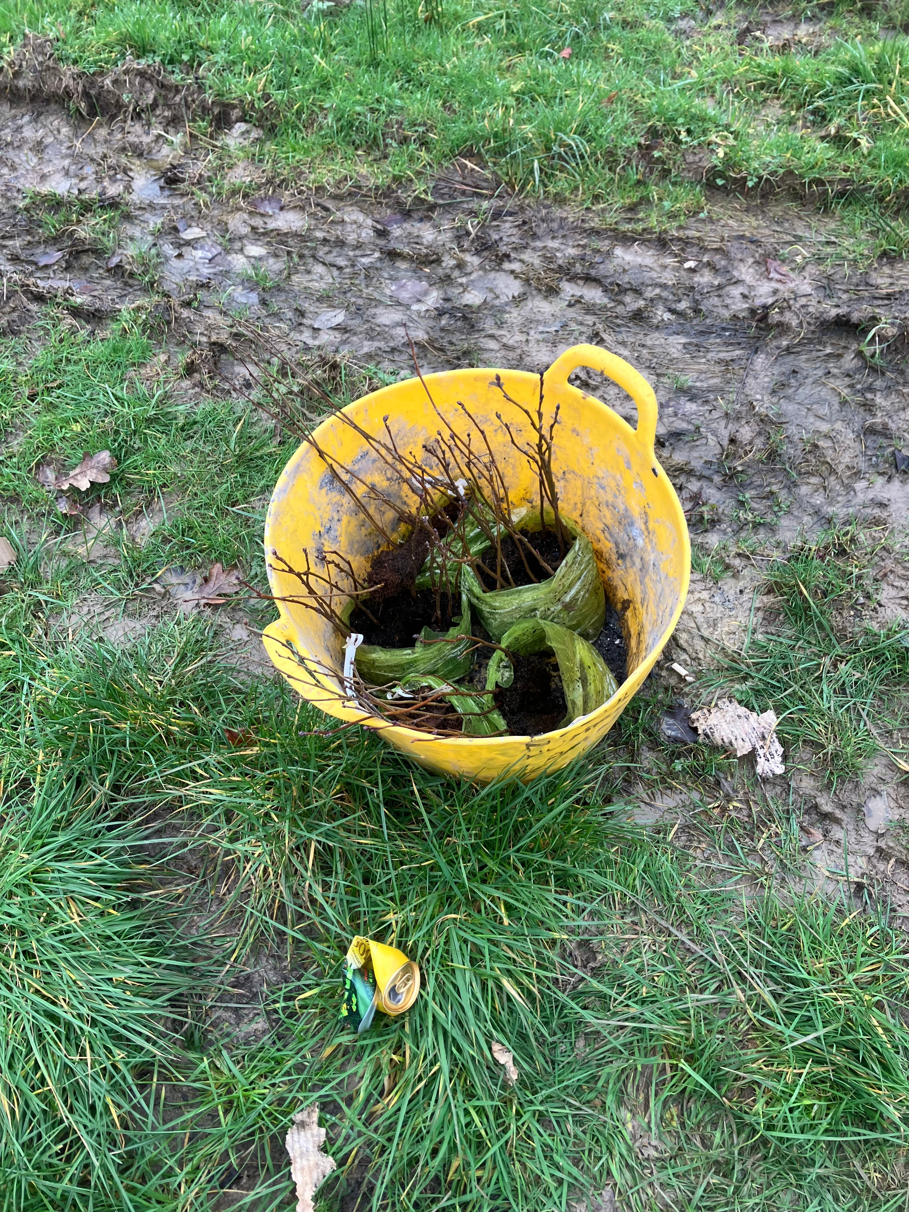 Second post image 11