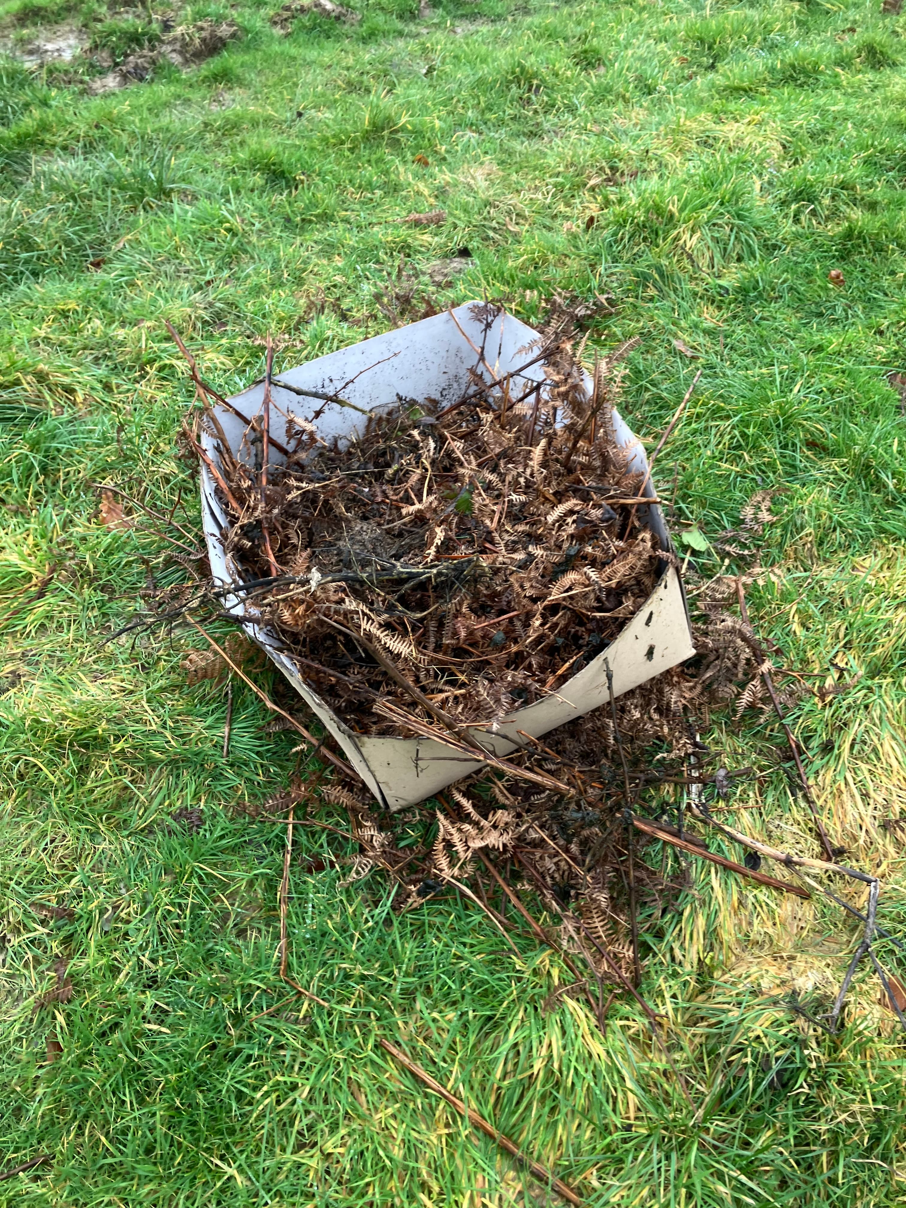 Second post image 12