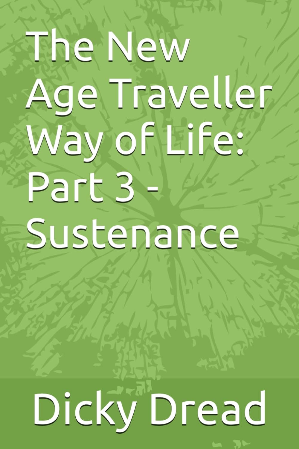 The New Age Travellers Way of Life: Part 3
