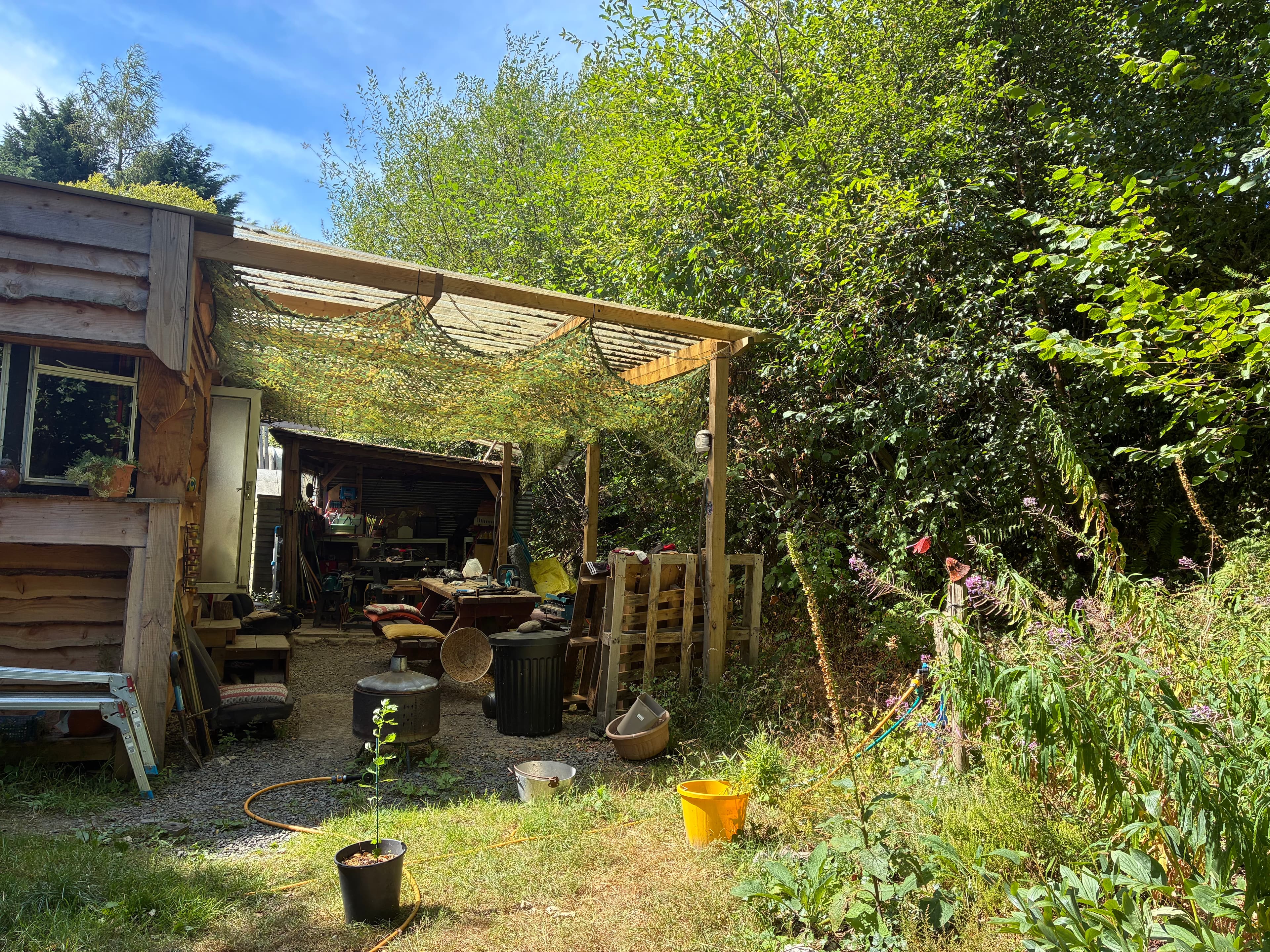 Oakwood photograph 37, August 2026