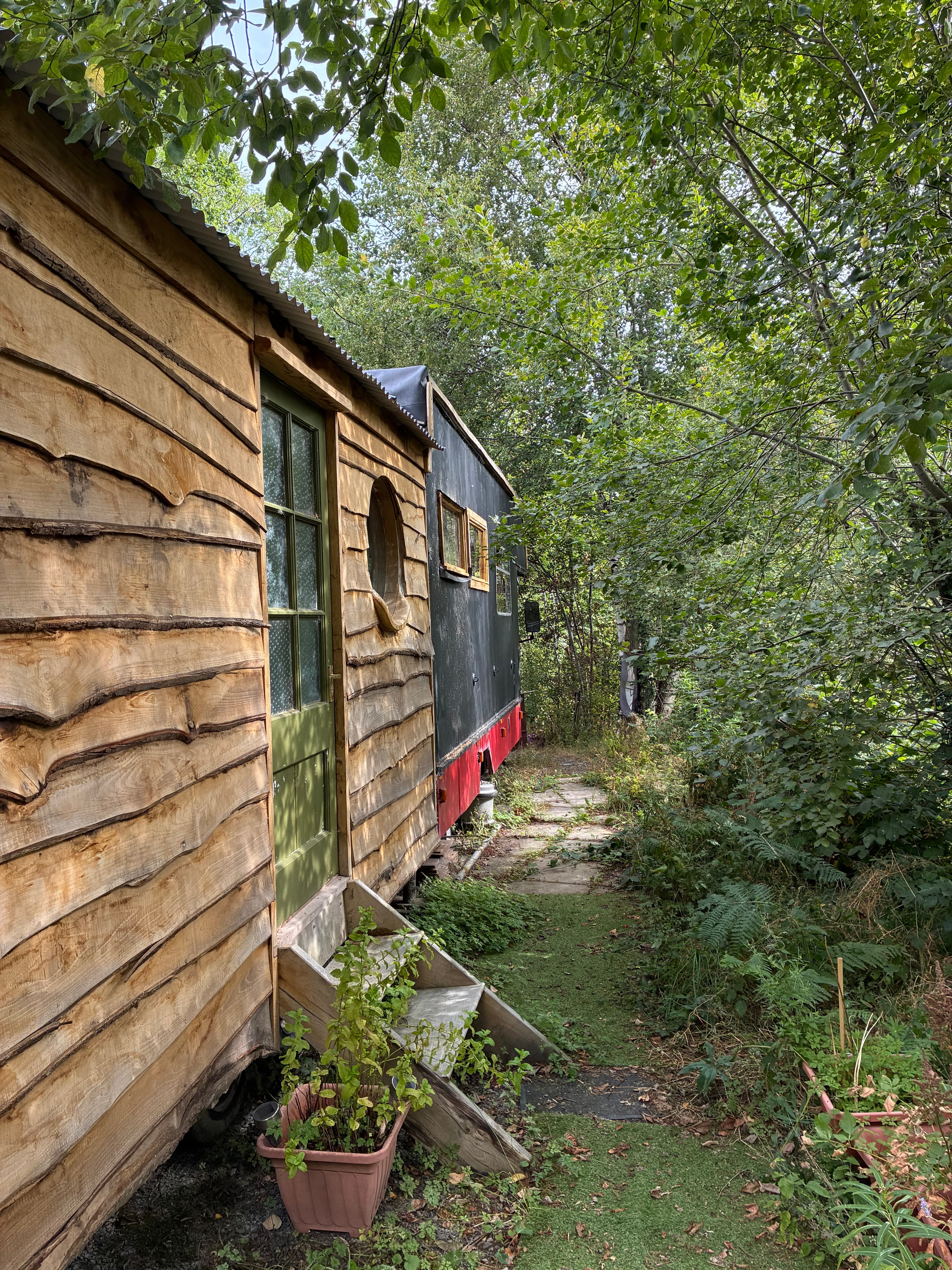 Oakwood photograph 21, August 2026