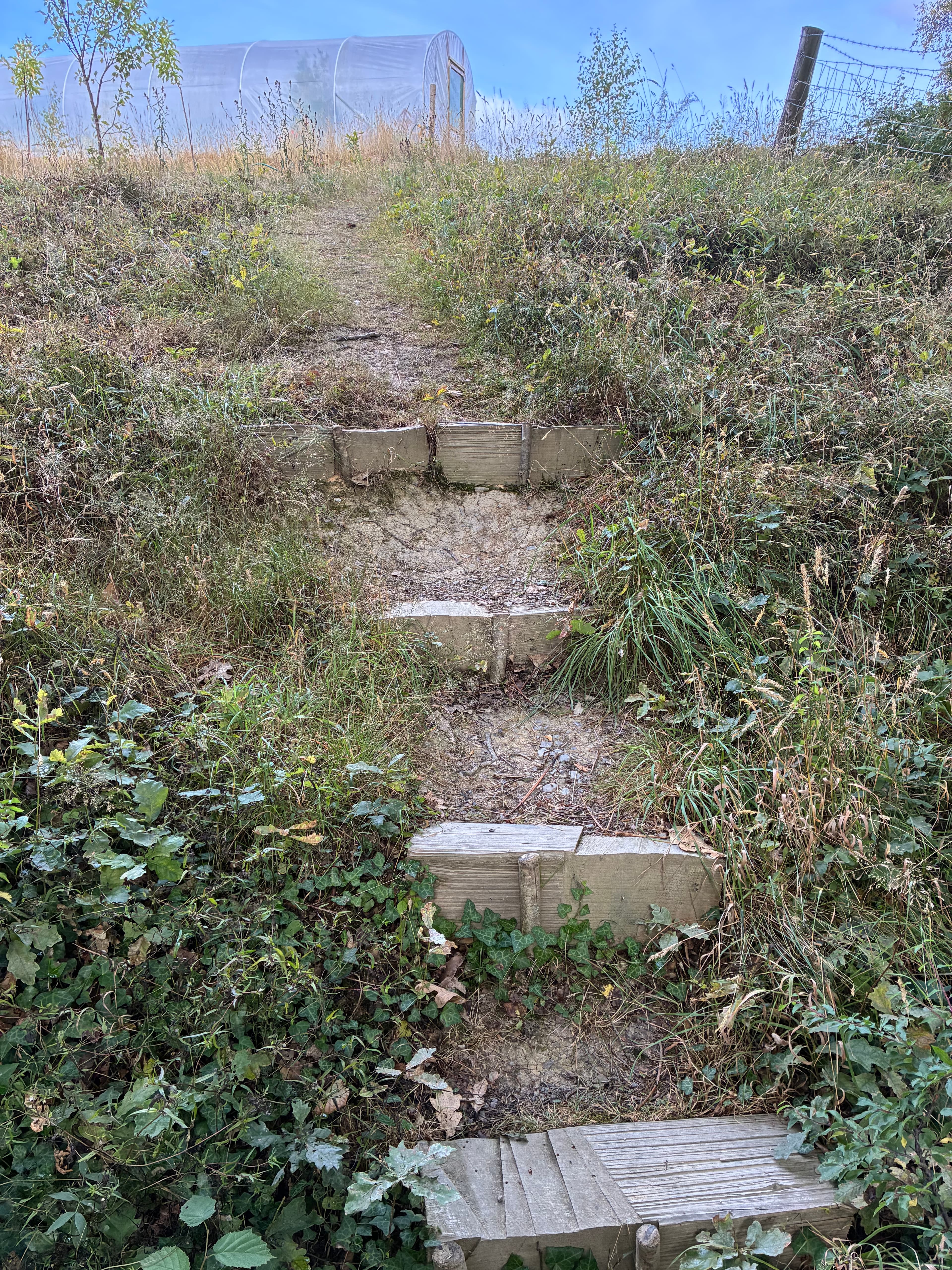 Oakwood photograph 14, August 2026