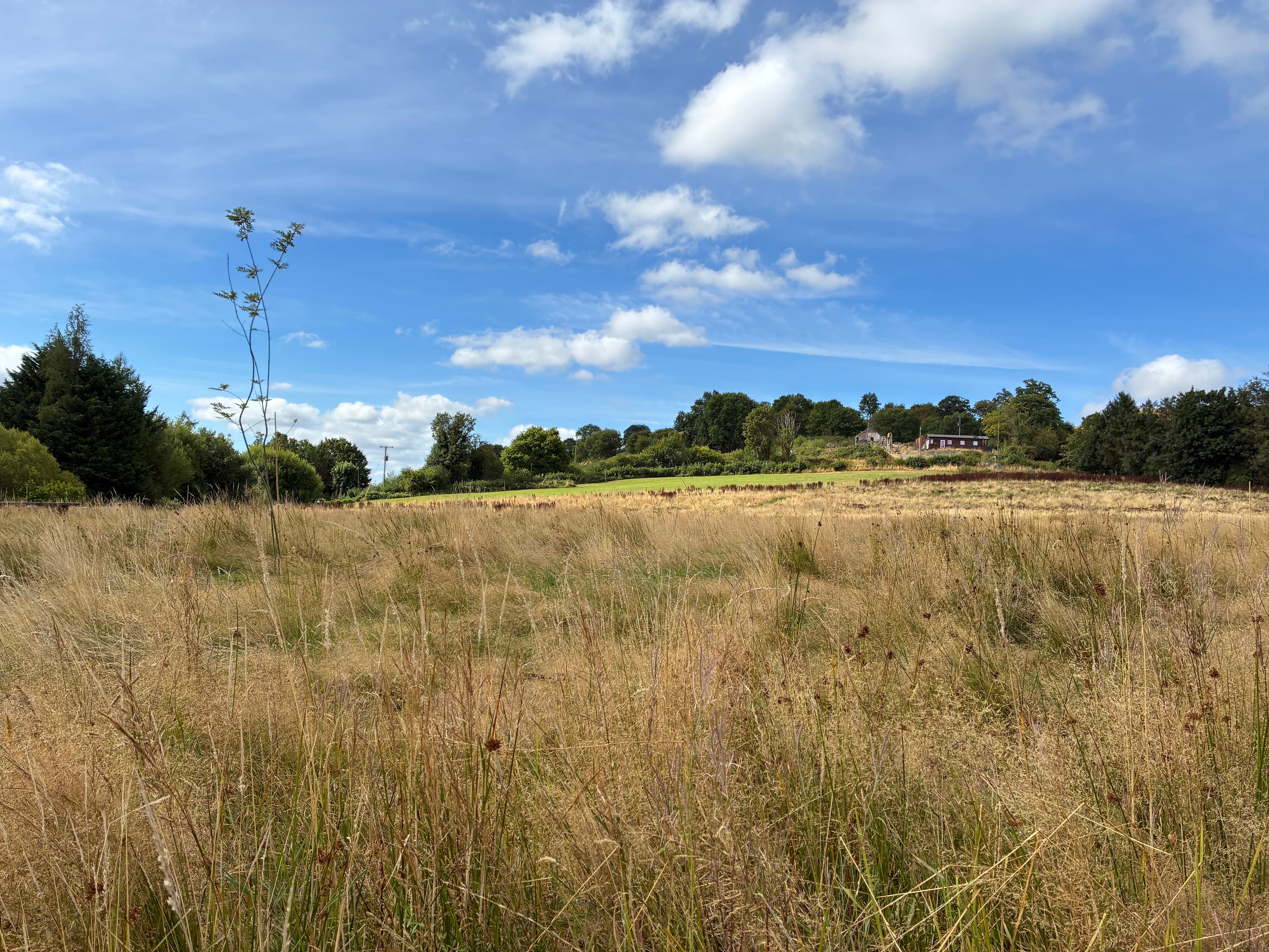 Oakwood photograph 17, August 2026