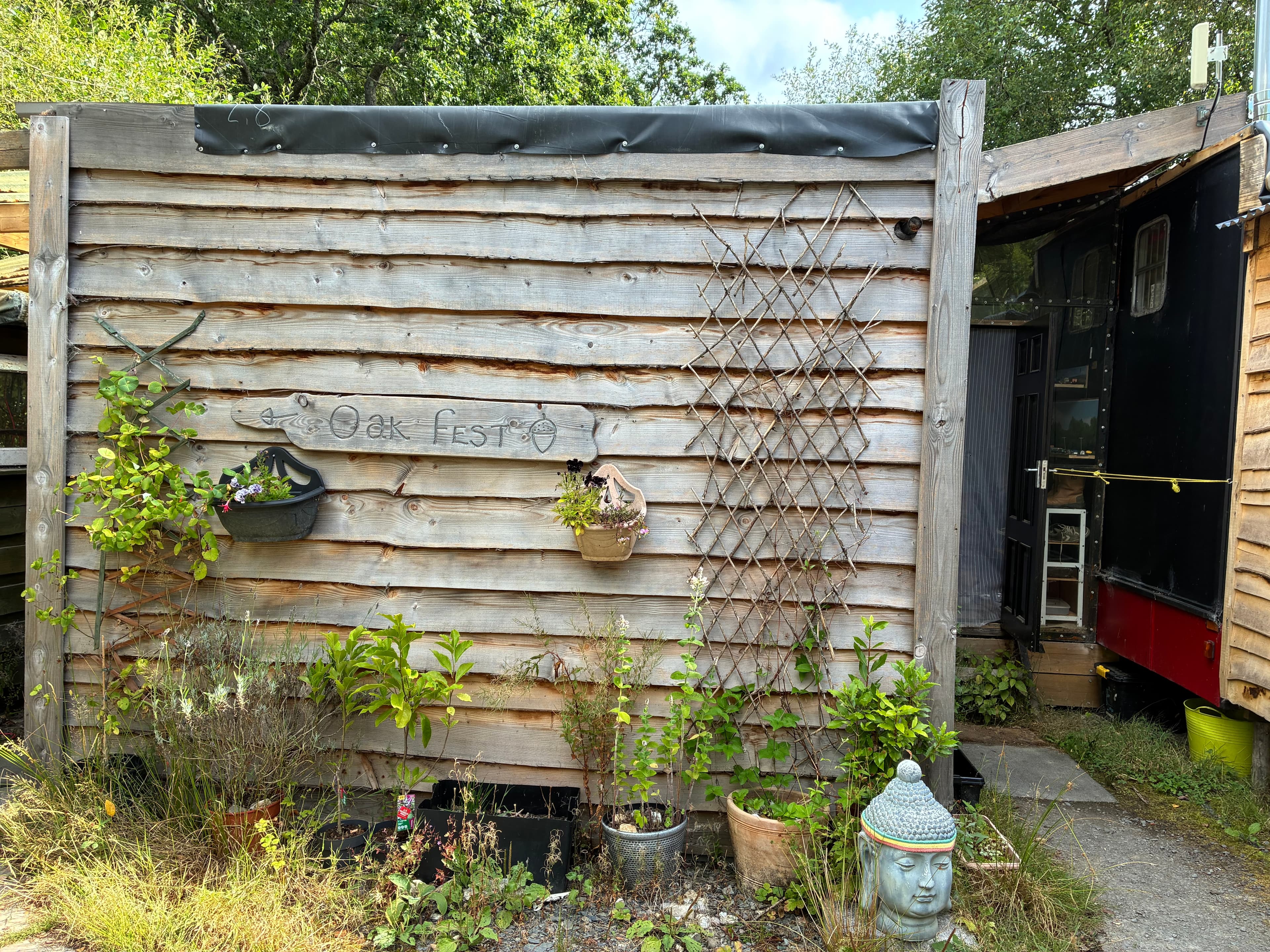Oakwood photograph 19, August 2026