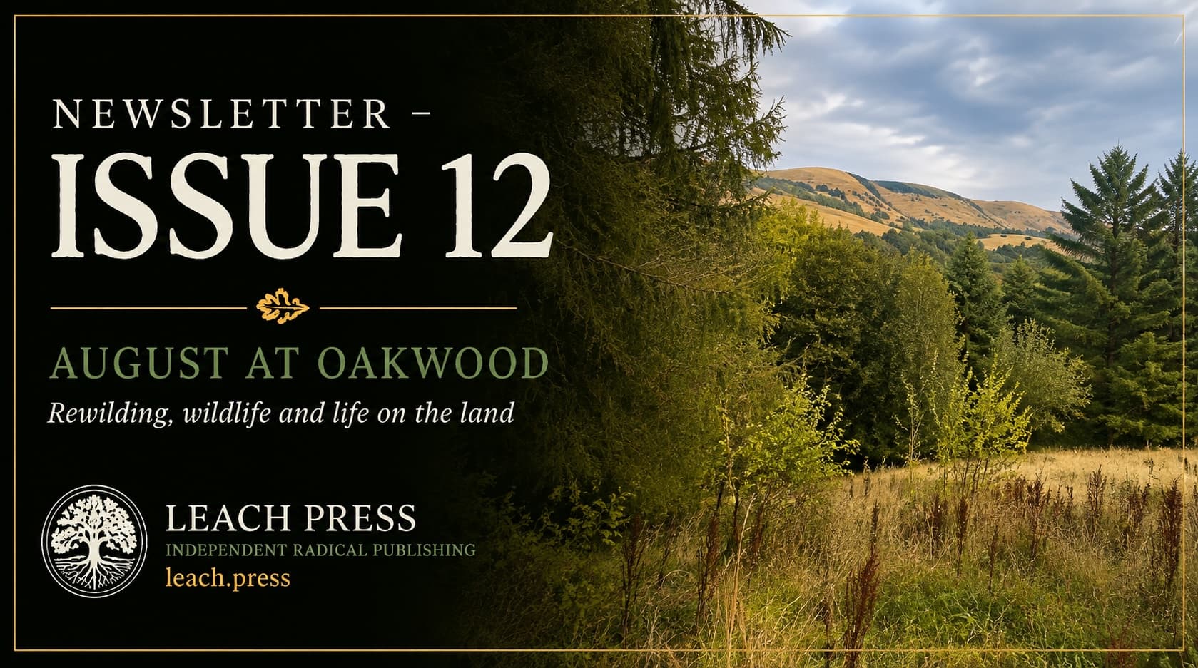 Newsletter Issue 12 – August at Oakwood