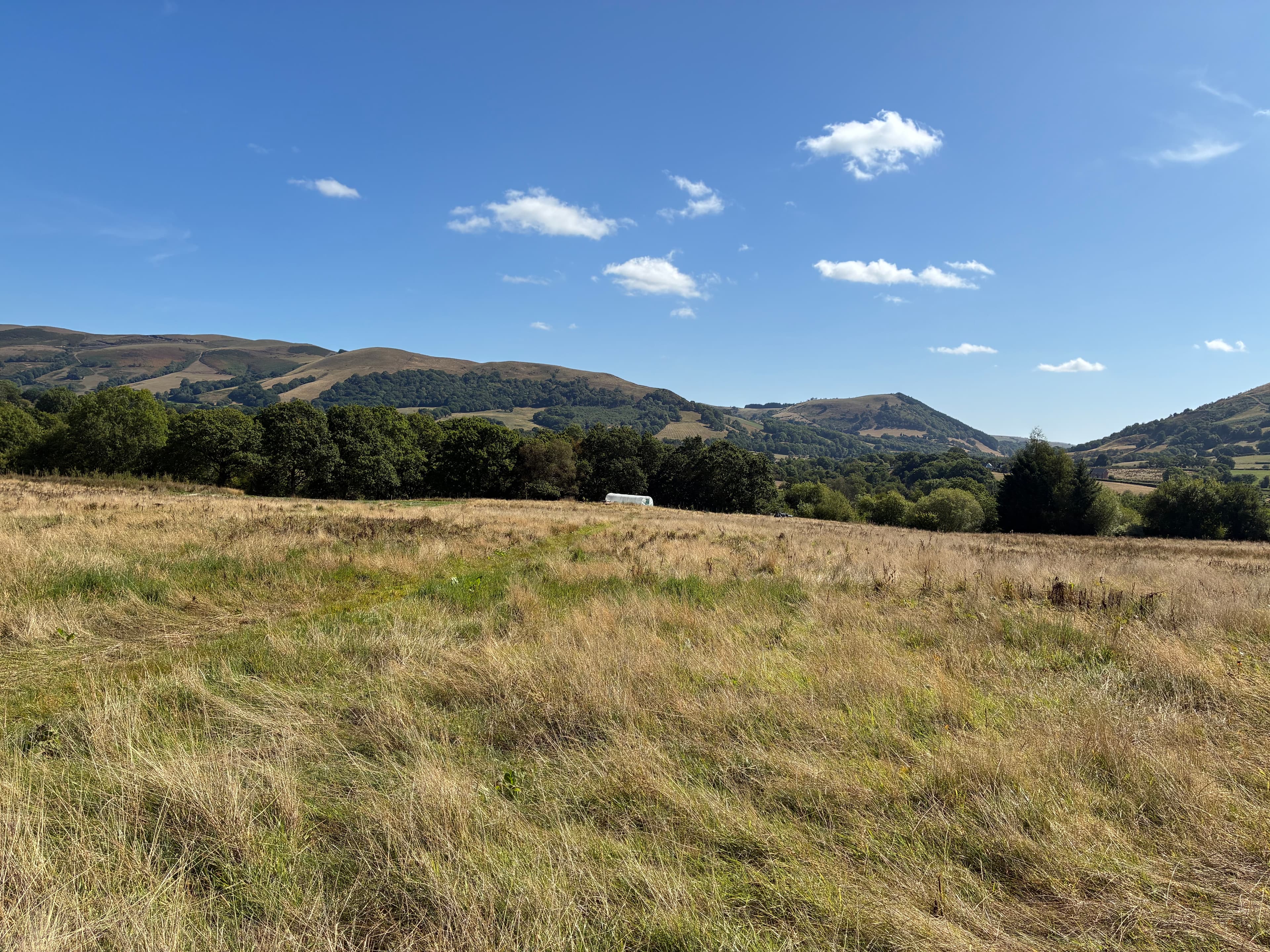 Oakwood photograph 2, August 2026