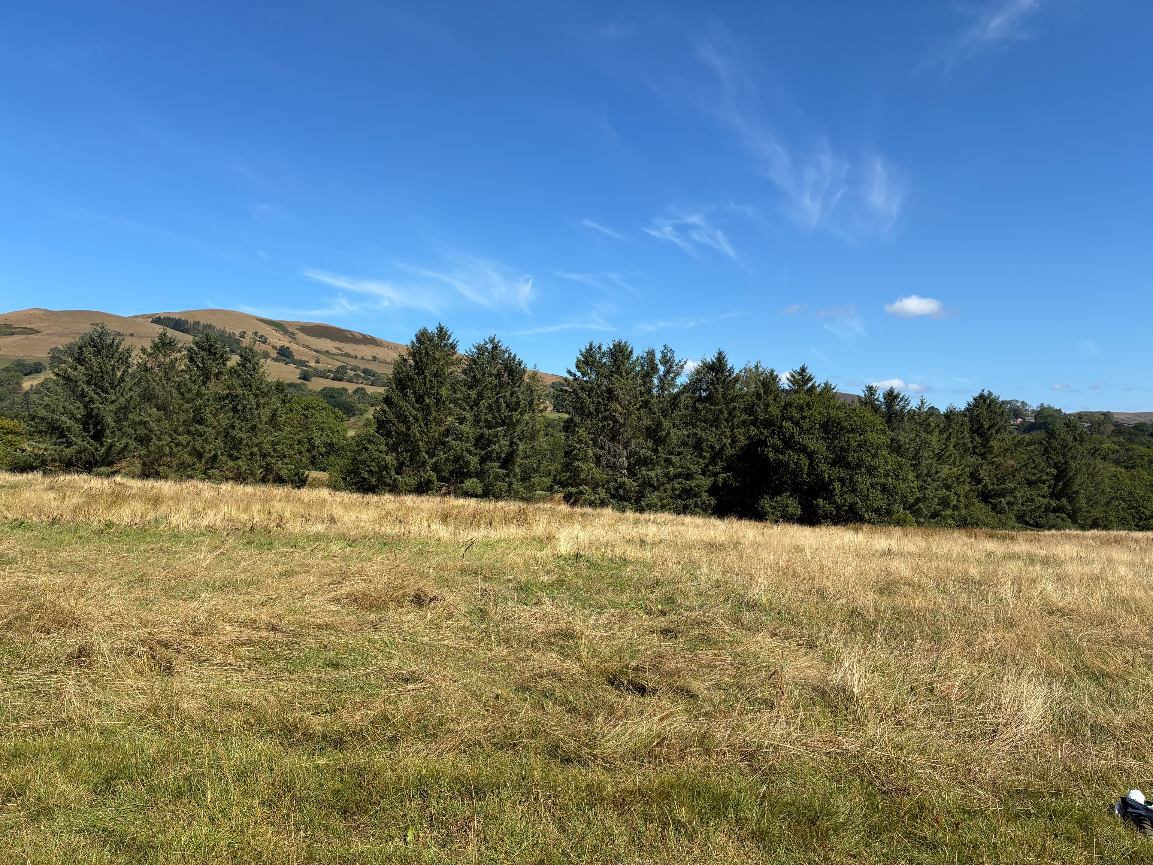 Oakwood photograph 3, August 2026