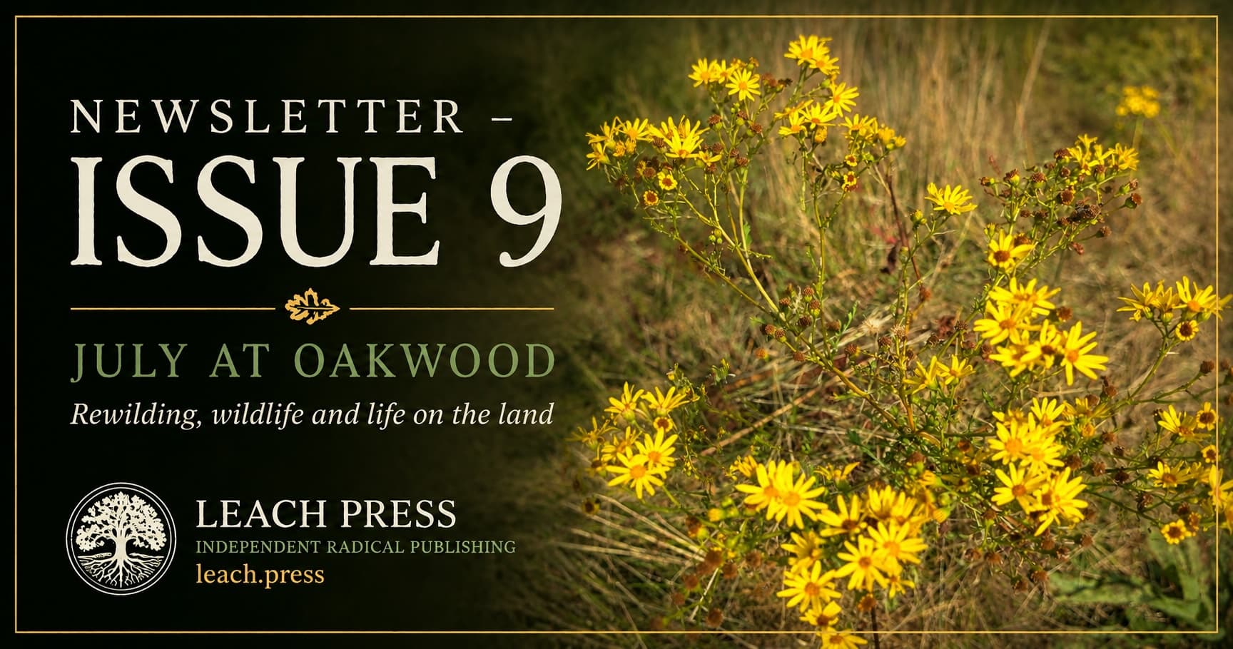 Newsletter Issue 9 – July at Oakwood